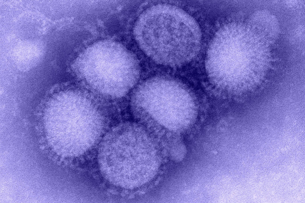 Virus cúm A tồn tại trong giọt bắn