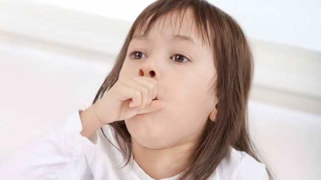 Ở giai đoạn tiền phát, viêm phế quản ở trẻ có triệu chứng gần giống với bệnh viêm họng hay ho, sốt thông thường.