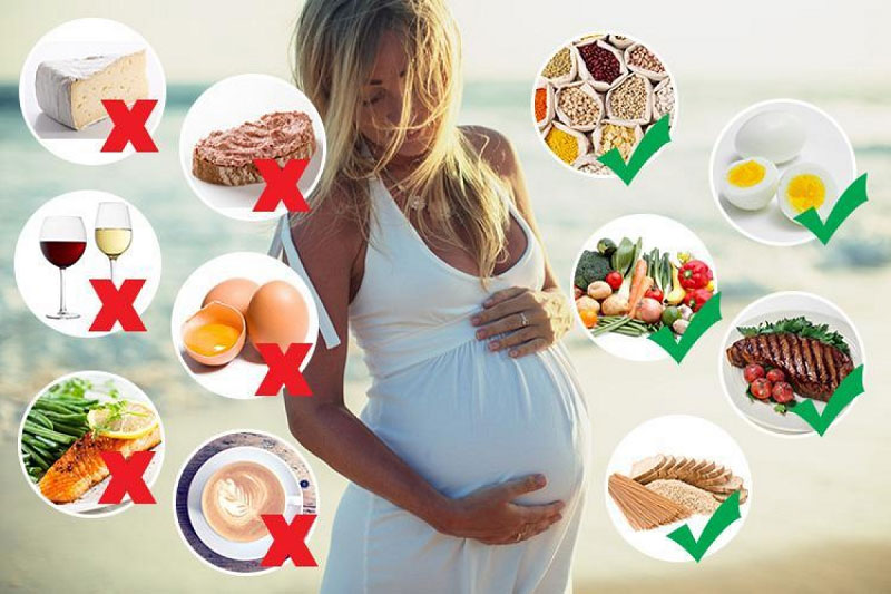 Ăn gì bổ thai khi mới mang bầu?